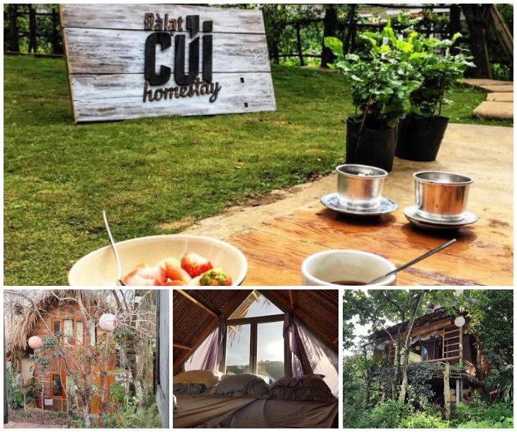 ảnh ghép củi homestay