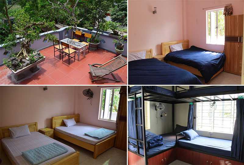 Tổng hợp Cat Ba Sweet Potato Homestay