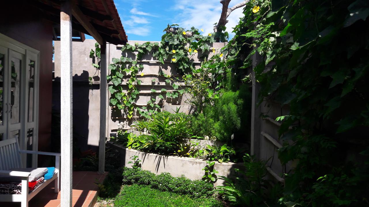 Small garden at Homestay Seaside