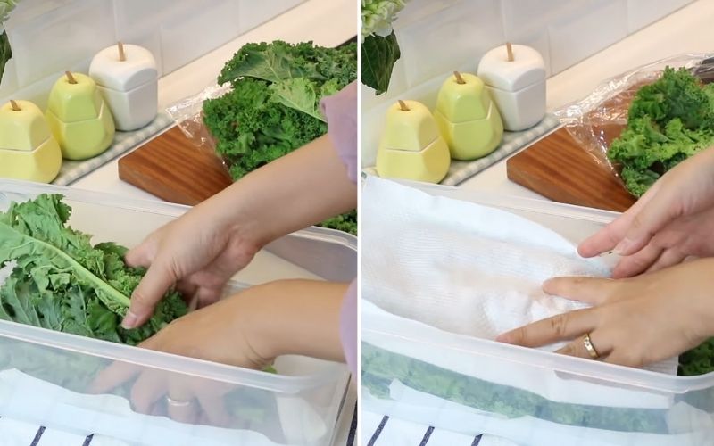  Lót khăn giấy vào hộp đựng thực phẩm rồi cho 1 lớp rau vào trước, lần lượt lót giấy bên trên và cho tiếp lớp rau tiếp theo lên