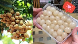 Mẹo lấy hạt nhãn sao cho múi long nhãn tròn, đẹp không cần khéo tay