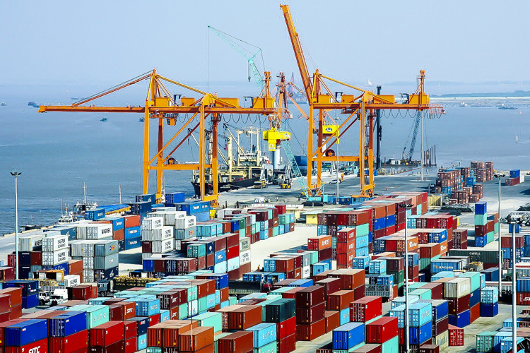 Tra cứu container tại cảng Đình Vũ