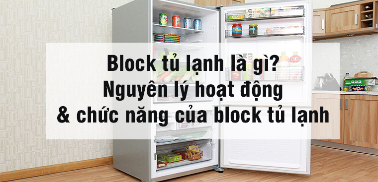 Block tủ lạnh là gì? Nguyên lý hoạt động & chức năng của ... ( https://www.dienmayxanh.com › blo... ) 