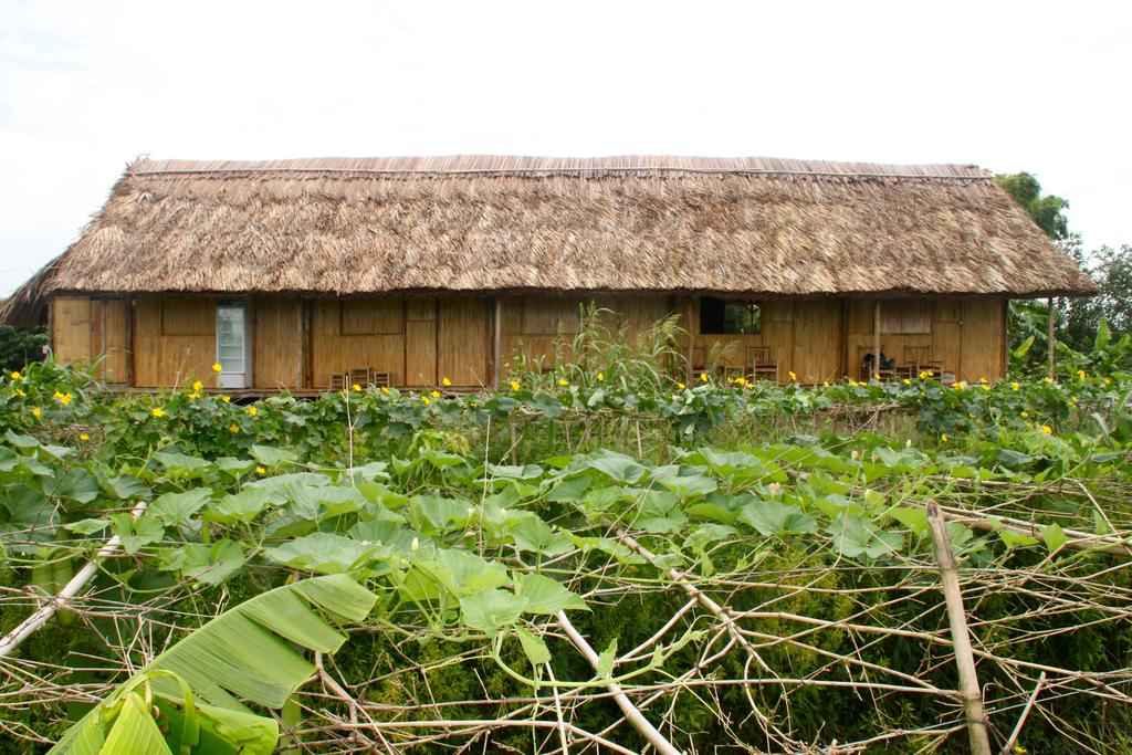 Nguyen Shack Homestay Can Tho takes you away from the cramped city