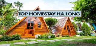 Top 10 homestay Hạ Long view đẹp, sang trọng, giá cả phải chăng