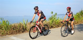 Xe đạp đua là gì? Ưu điểm và nhược điểm của xe đạp đua