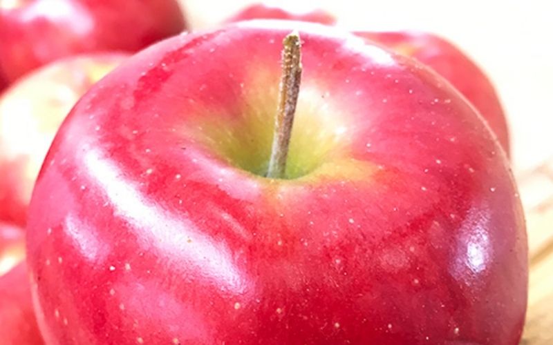 Ăn táo bấy lâu nhưng bạn có biết lớp sáp bên ngoài vỏ táo có tác dụng gì không?
