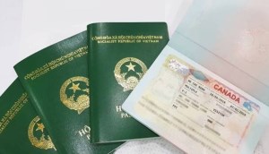 Hướng dẫn chi tiết thủ tục xin visa canada