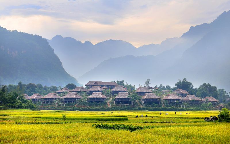 Mai Châu Ecolodge -  Ruộng lúa