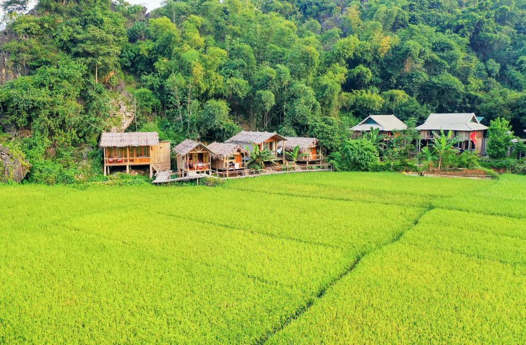 Top homestay Mai Châu view “cực xịn”, cực chất, thỏa mãn hội sống ảo