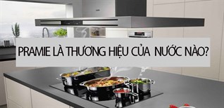 Pramie là thương hiệu nước nào? Những dòng sản phẩm của Pramie