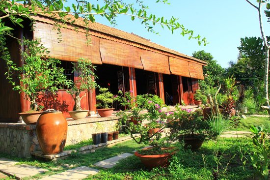 Top homestay Bến Tre 'ĐẸP - MÁT RƯỢI' view miệt vườn đậm chất Nam Bộ