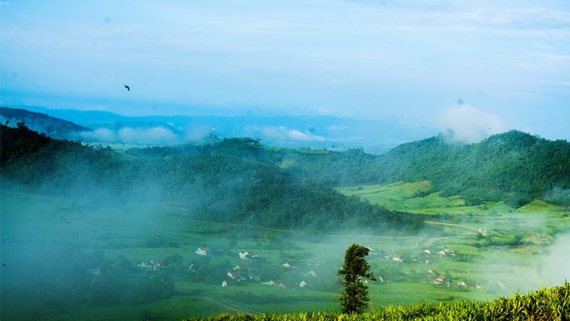 “Đà Lạt xứ biển” quanh năm xương mù phủ kín