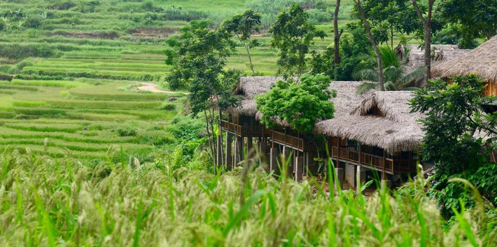 Valley Home (managed by Puluong Retreat) nhìn từ bên ngoài