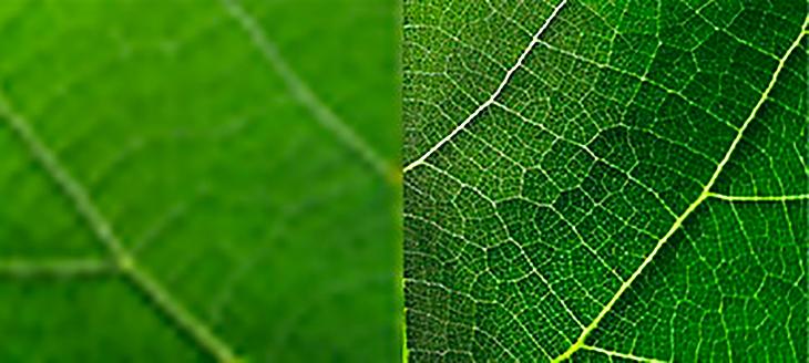 Công nghệ XR Super Resolution phát hiện các đối tượng riêng lẻ trong hình ảnh và tái tạo kết cấu gần như thế giới thực Công nghệ XR Super Resolution phát hiện các đối tượng riêng lẻ trong hình ảnh và tái tạo kết cấu gần như thế giới thực