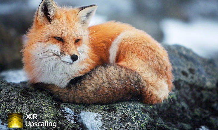 Công nghệ XR Upscaling Công nghệ XR Upscaling giúp nâng cấp nội dung hình ảnh từ bất cứ nguồn nào lên chuẩn phân giải cao hơn
