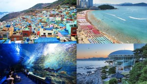 Top 10 địa điểm du lịch đẹp, hút khách tại Busan - Hàn Quốc