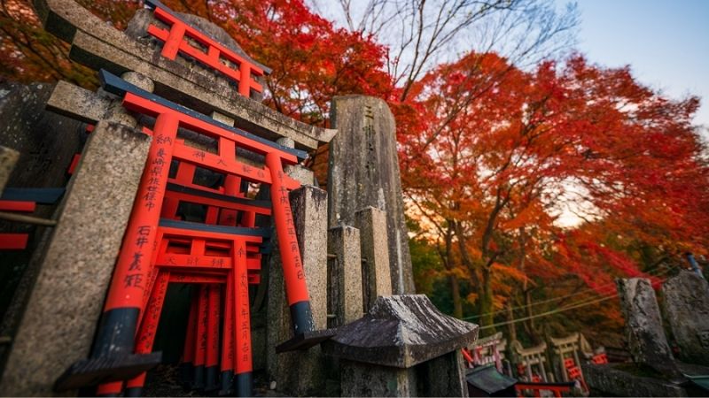 Điện thờ Fushimi Inari Shrine nổi bật và cực ấn tượng