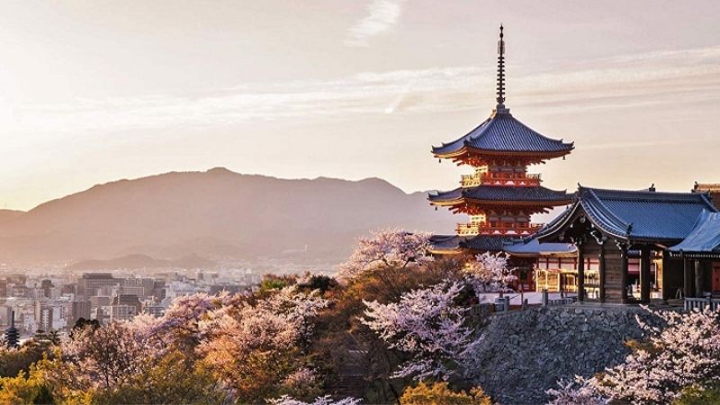 Địa điểm lý tưởng để ngắm bạt ngàn hoa và toàn cảnh Kyoto