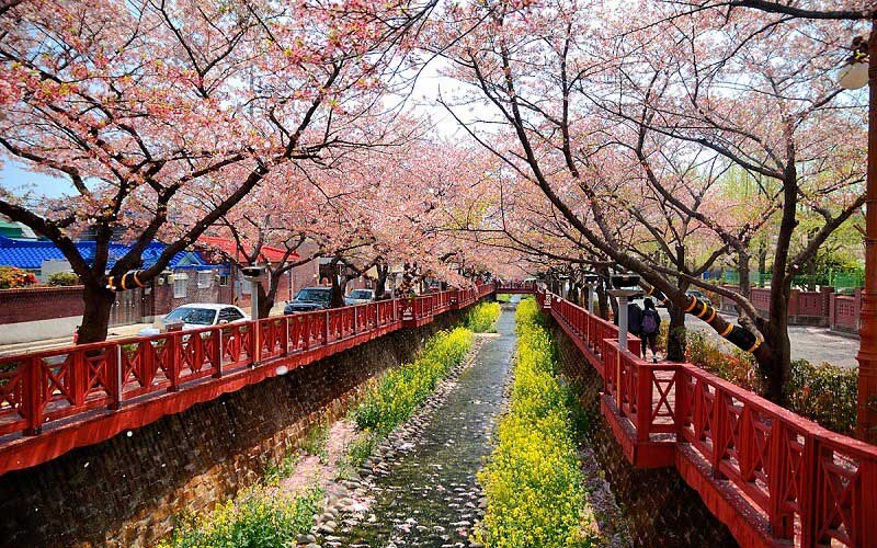 Ngây ngất với vẻ đẹp lãng mạn của Hàn Quốc