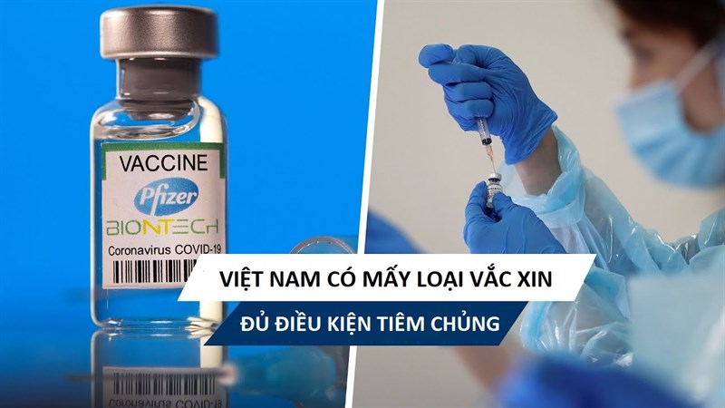 Có mấy loại vắc xin Covid-19 đạt chuẩn được tiêm tại Việt Nam?