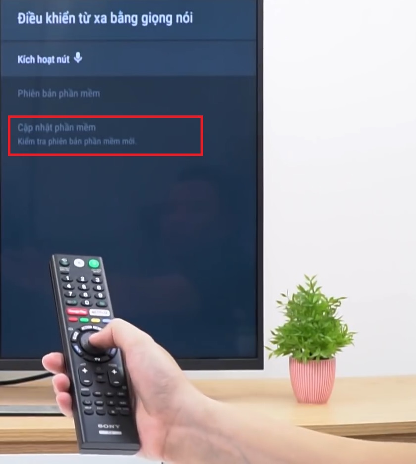 Cập nhật phần mềm của remote