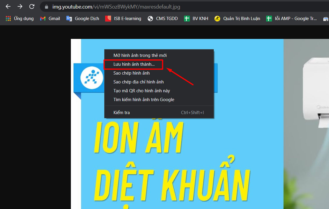 Hướng dẫn 3 cách lấy hình ảnh, trích xuất ảnh từ video chi tiết nhất > Bấm chuột phải vào ảnh và chọn Lưu hình ảnh thành