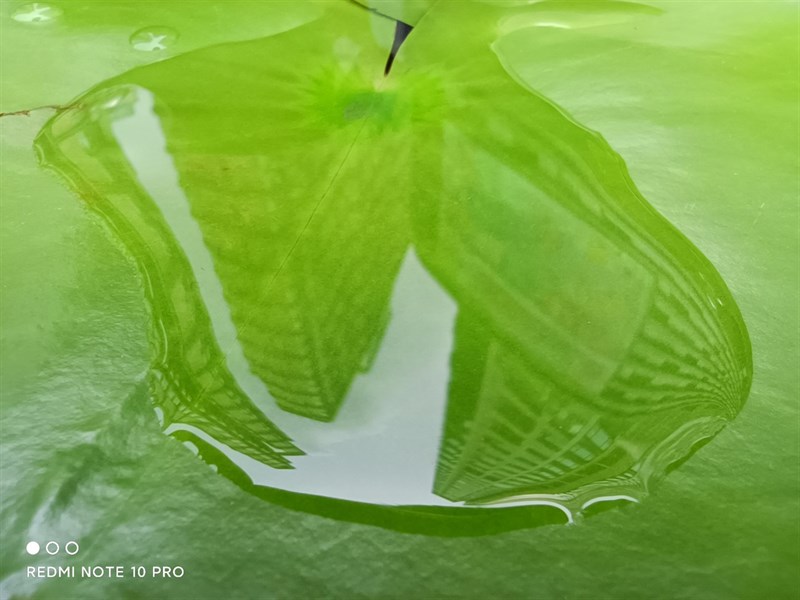 Ảnh chụp macro của Redmi Note 10 Pro 5G. (Nguồn: Gizmochina). Ảnh chụp macro của Redmi Note 10 Pro 5G. (Nguồn: Gizmochina).