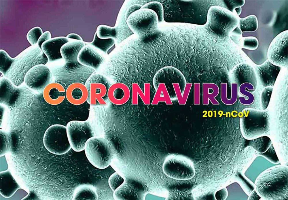  Corona là một họ virus lớn, xâm nhiễm từ động vật sang người, tồn tại ở các loài động vật bao gồm lạc đà, mèo và dơi