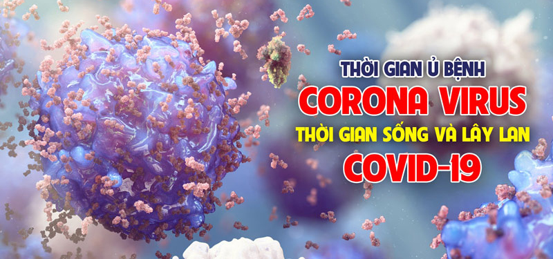 Thời gian ủ bệnh của Virus Corona khoảng 2 - 14 ngày