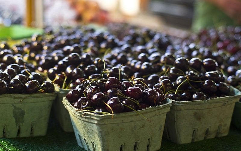 Cherry đen có vị ngọt, màu đỏ ngả sang đen