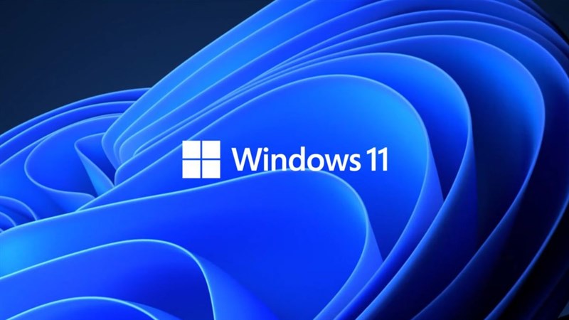 Lỗi Windows 11