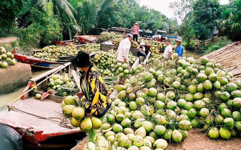 Lưu ý khi mua đặc sản Bến Tre làm quà