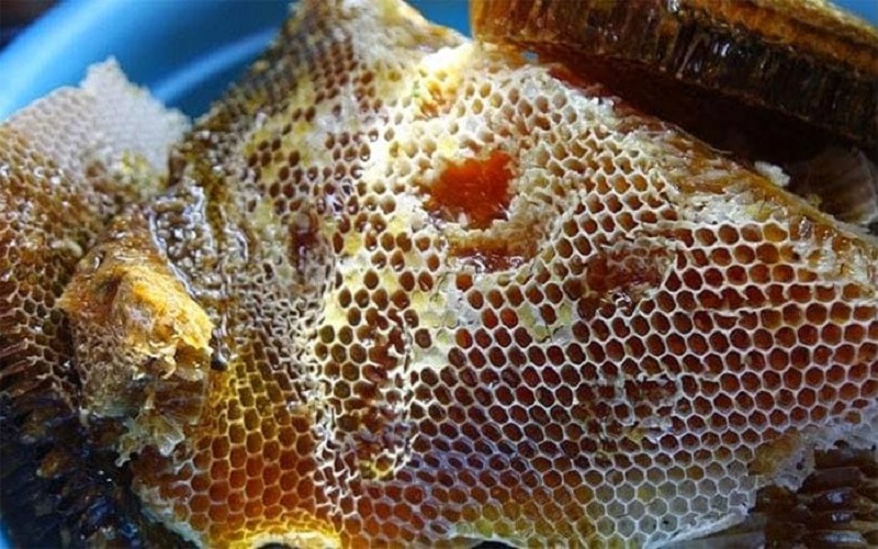 Mật ong rừng có rất nhiều tác dụng có lợi cho sức khỏe con người