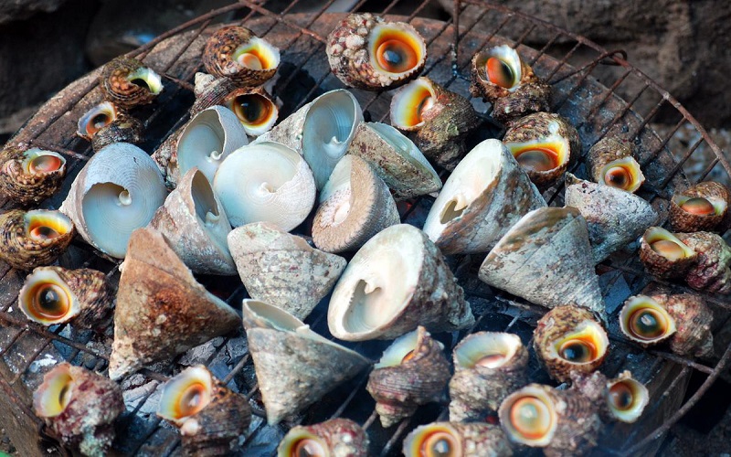 Ốc vú nàng được xếp vào top 10 loại hải sản ngon nhất Việt Nam.