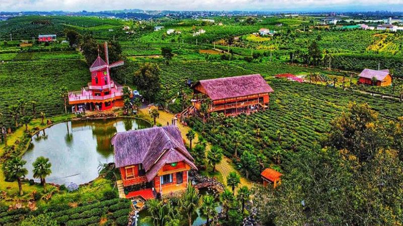 Làng chè Tây Nguyên