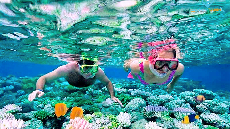 Ngắm san hô là một trong các hoạt động thu hút du khách tham gia tại đảo Phú Quý