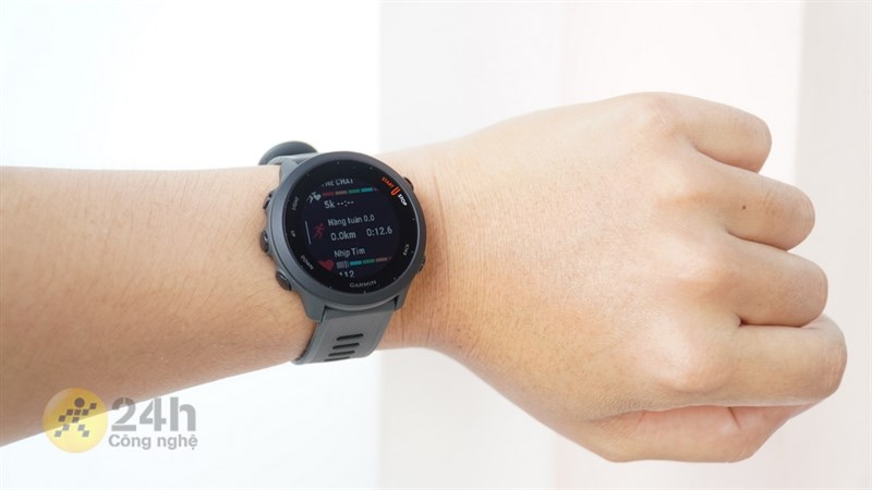 Garmin Forerunner 55 Garmin Forerunner 55