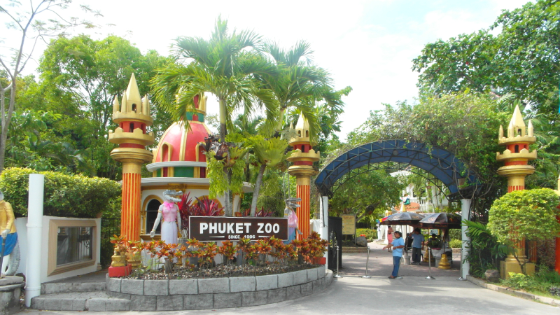 Đến với Phuket zoo du khách sẽ được chiêm ngưỡng với rất nhiều động vật, những show diễn động vật đặc sắc