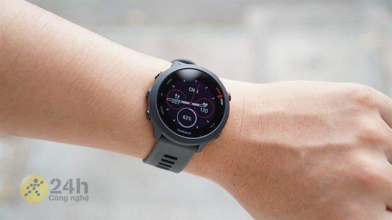 Garmin Forerunner 55 Garmin Forerunner 55