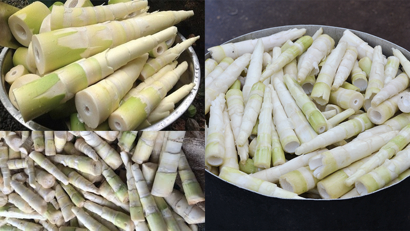 Măng le tươi ăn vào giòn giòn, có vị ngọt nhẹ