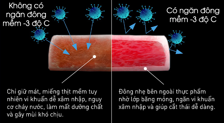 Cơ chế hoạt dộng ngăn đông mềm