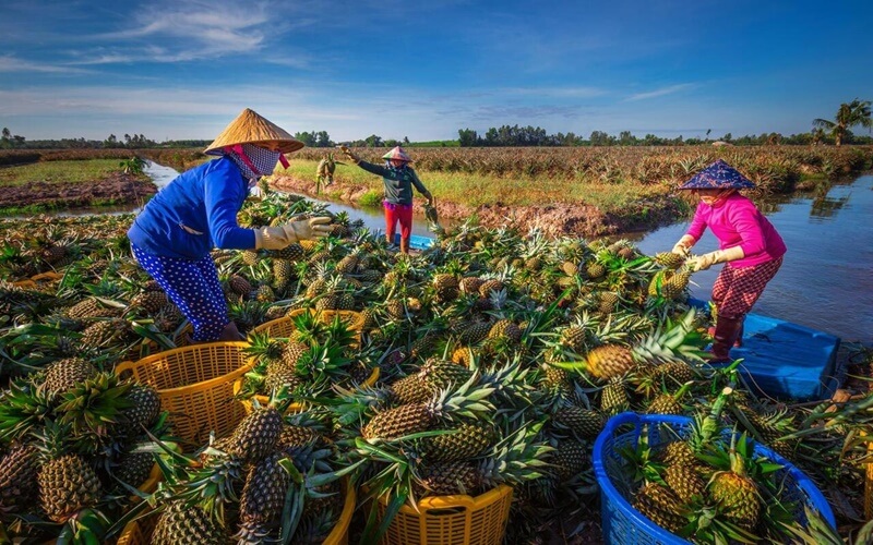 Khóm Cầu Đúc vẫn mang đến cho du khách những trải nghiệm vô cùng thú vị và độc đáo 