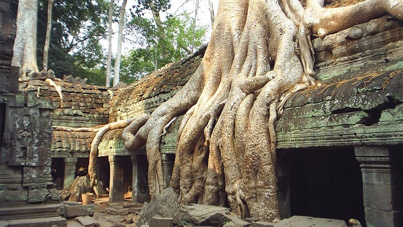 Đền Ta Prohm