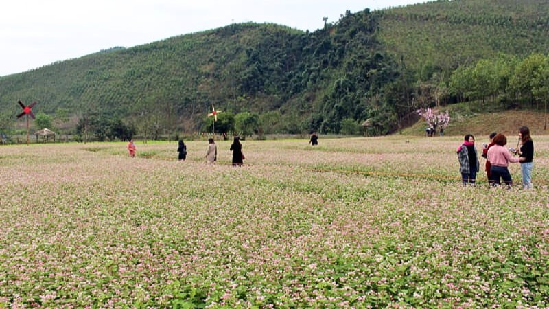 Du lịch Chợ Mới