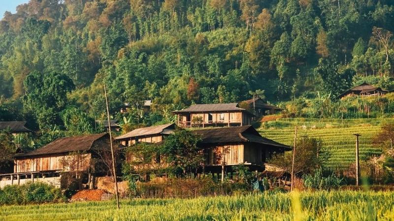 Chao Ha-Phiên bản