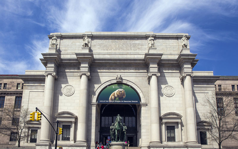 Bảo tàng Lịch sử & Tự nhiên Hoa Kỳ