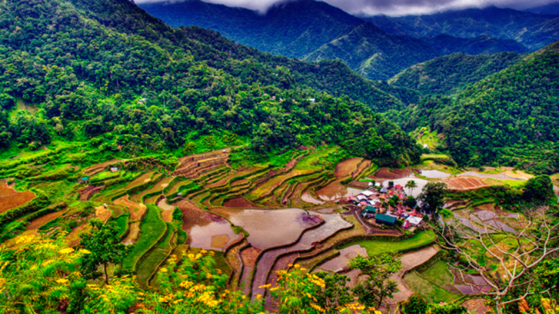 Ruộng bậc thang Banaue