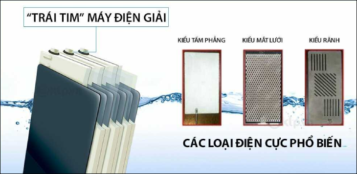 Chức năng của tấm điện cực