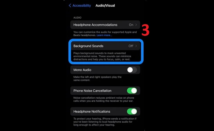 Chọn mục Background Sounds (Âm thanh trong nền) > Chọn On.